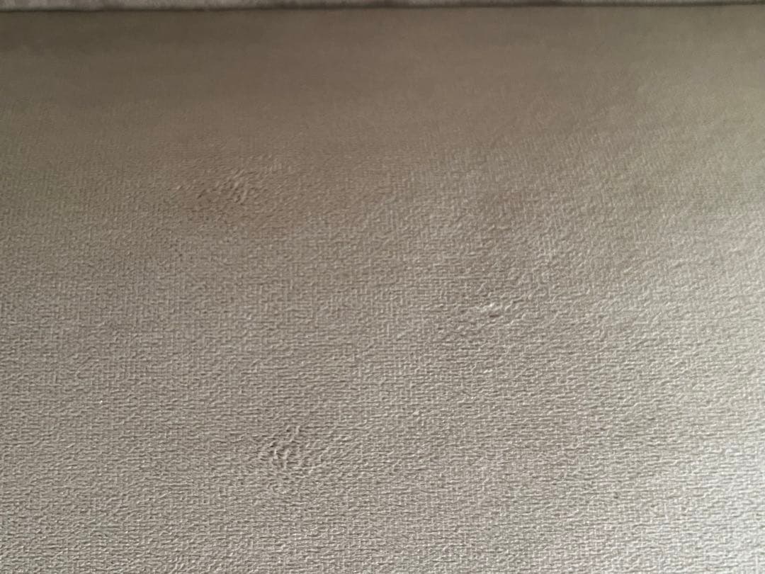 カウチソファ ベルベット調 LOWYA