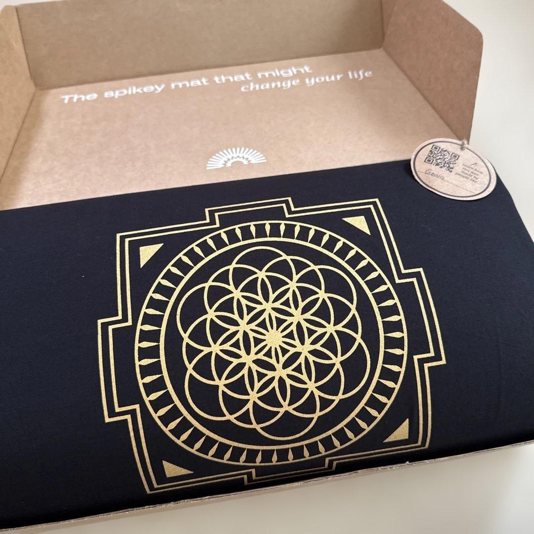 Shakti スパイクマット 黒