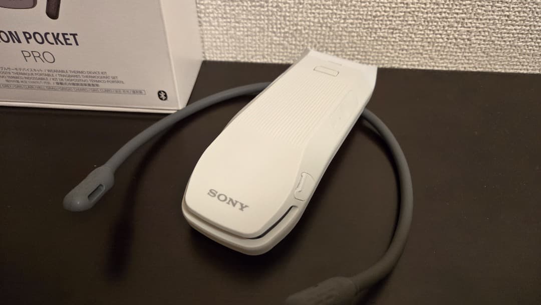 【美品】SONY REON POCKET PRO (レオンポケット)