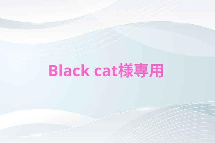 コスプレ衣装 Black cat