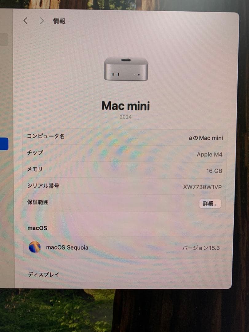 macmini M4 メモリ16GB ストレージ256GB 極美品