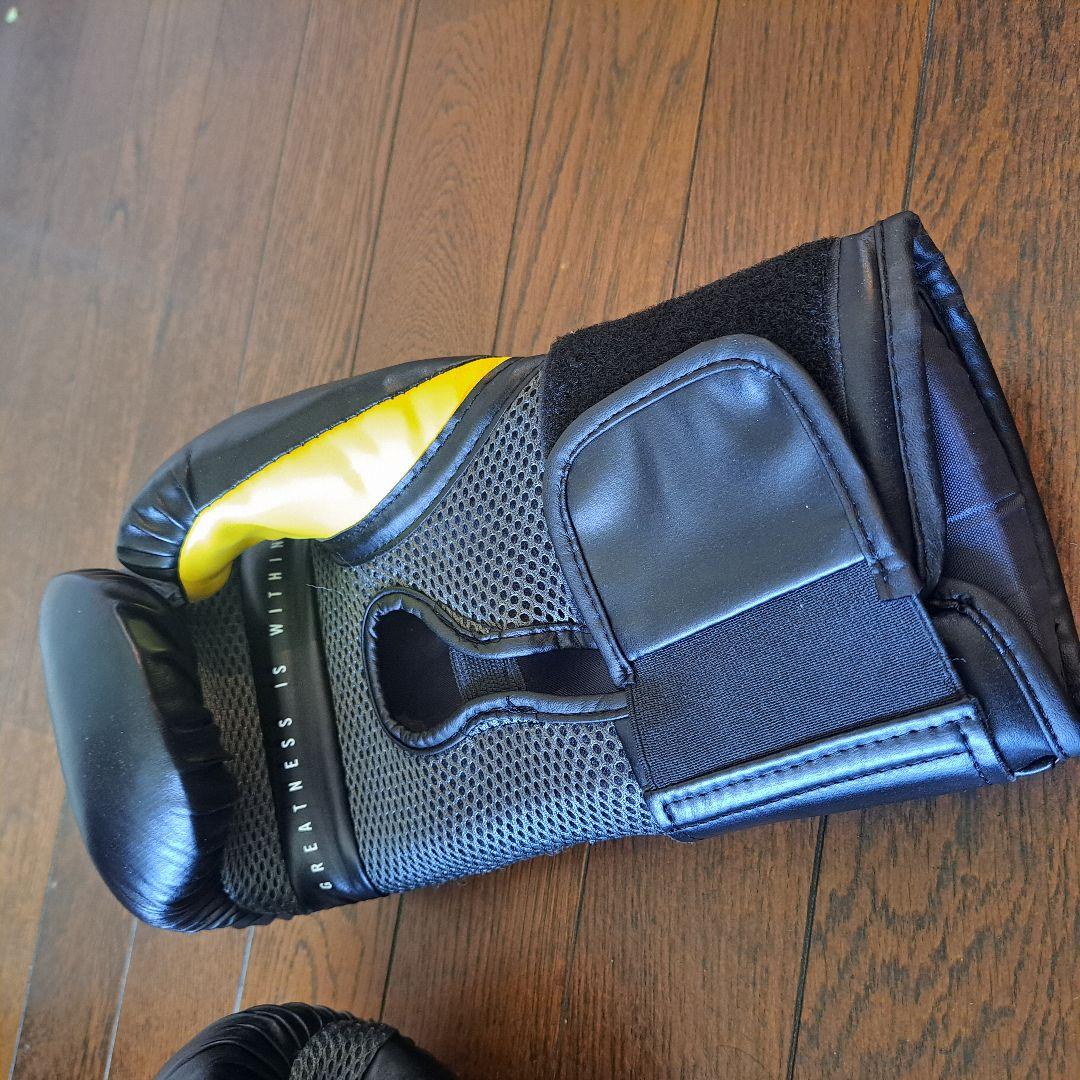 ボクシング Everlast Elite Training Gloves 12oz