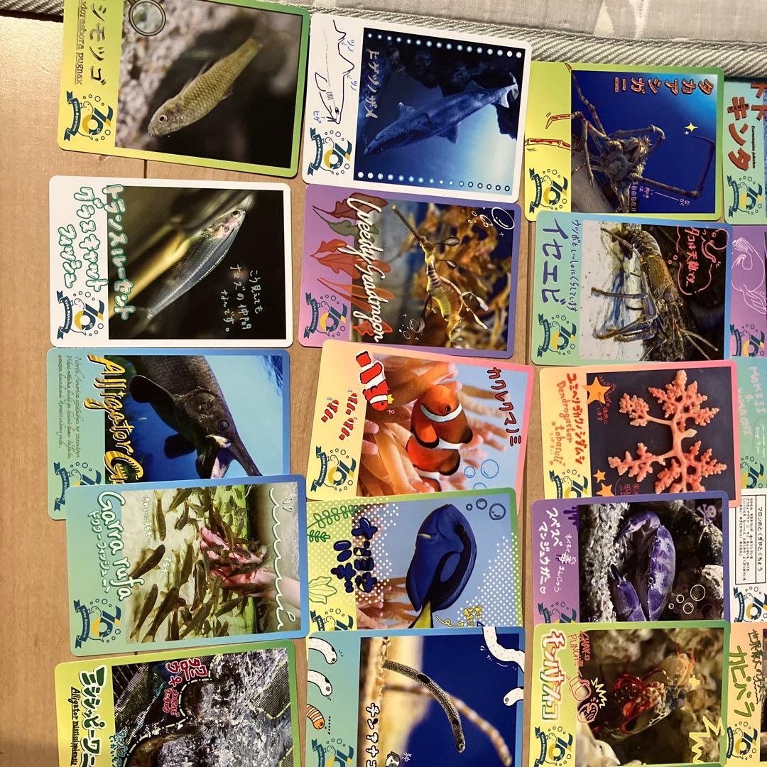 【週末値下げ中】鳥羽水族館コレクションカード　レアキラメイ