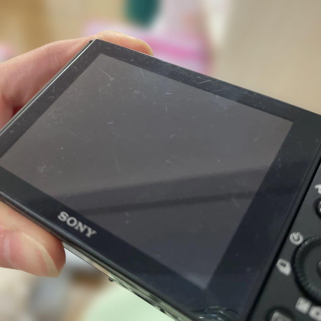 SONY サイバーショット DSC-WX500