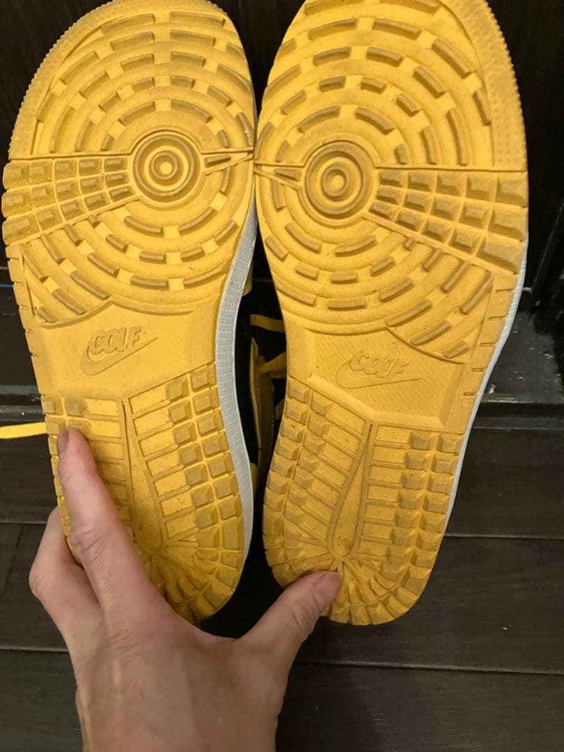 靴 Nike Air Jordan 1 High Golf Pollen27cm