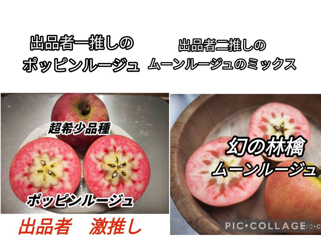 出品者一推しポッピンルージュ＆出品者二推しムーンルージュのミックス★2キロ