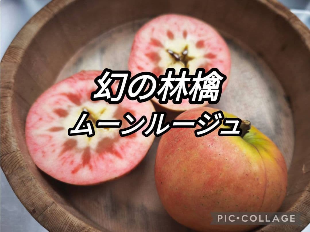 出品者一推しポッピンルージュ＆出品者二推しムーンルージュのミックス★2キロ