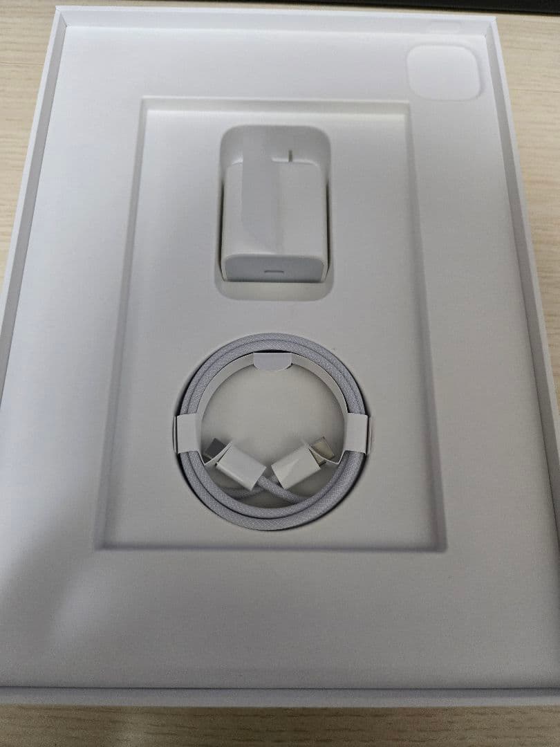 iPad Pro 11 第4世代 256GB　Apple Pencil付き