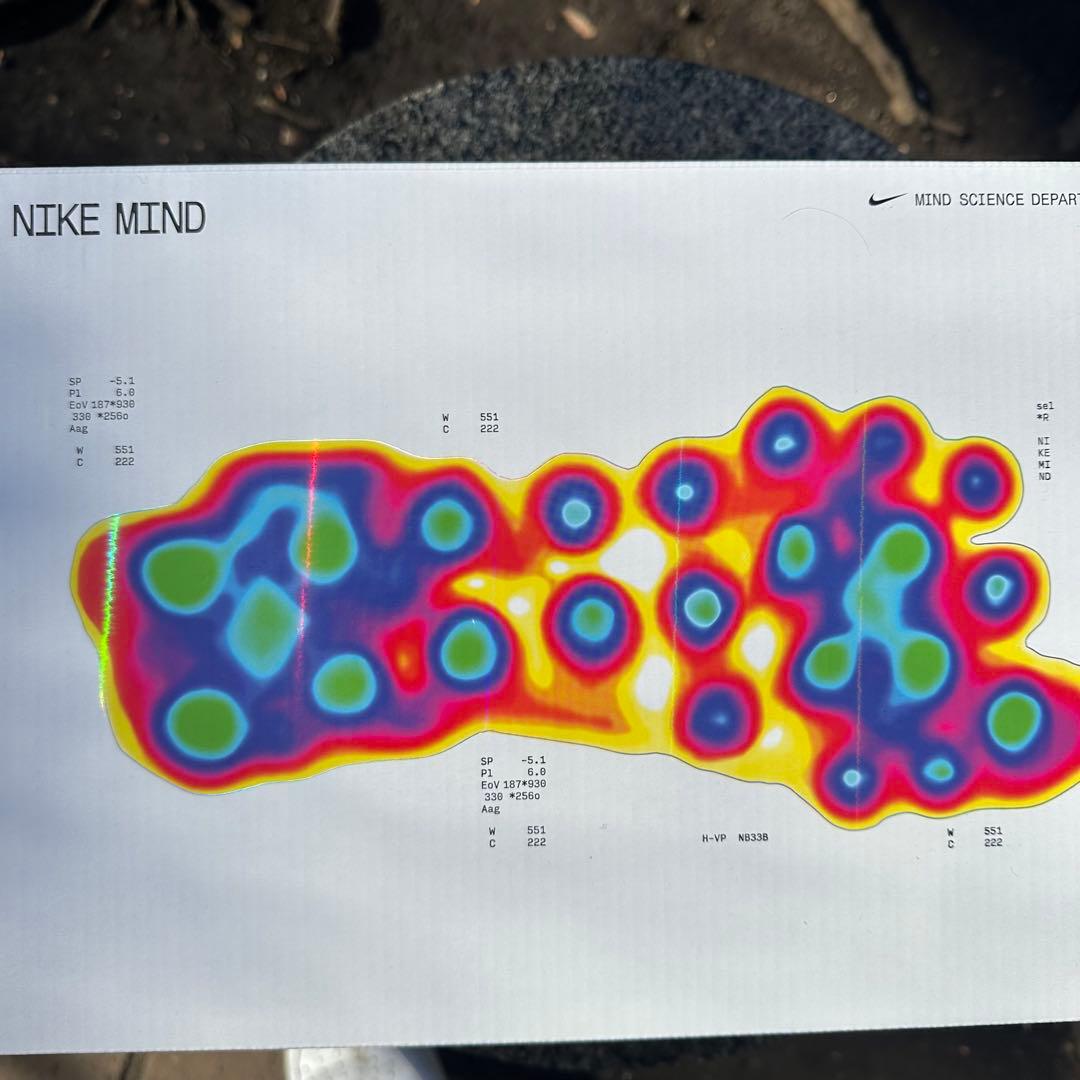 Nike メッシュスリッポンサンダル ブラック 001 30cm