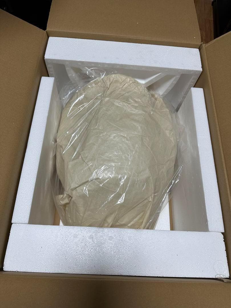 カワサキ　ZRX1200ダエグ　純正　タンク