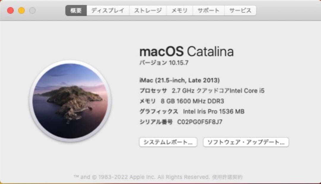 iMac (21.5-inch, Late 2013) 本体 SSD