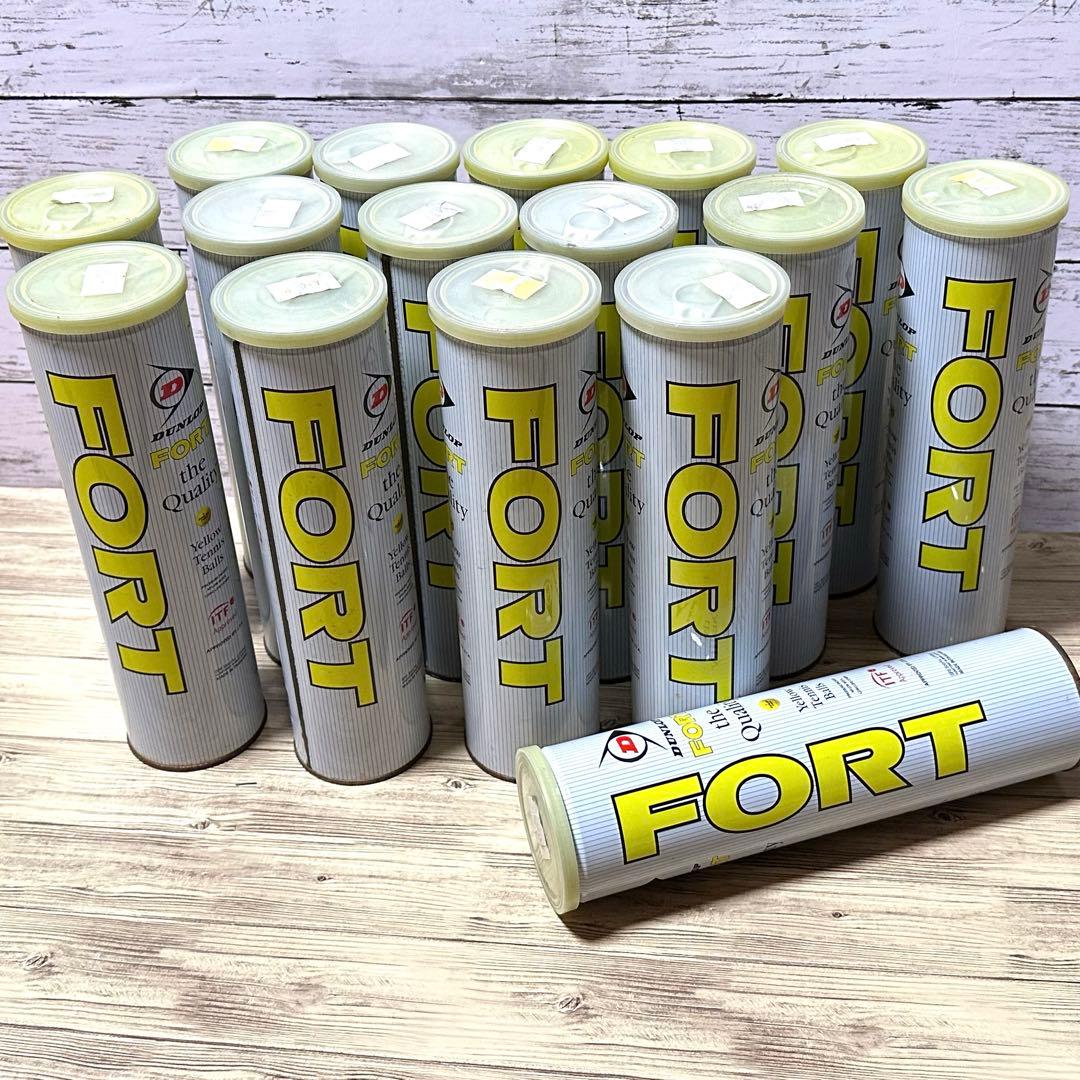 FORT テニスボール 16本セット