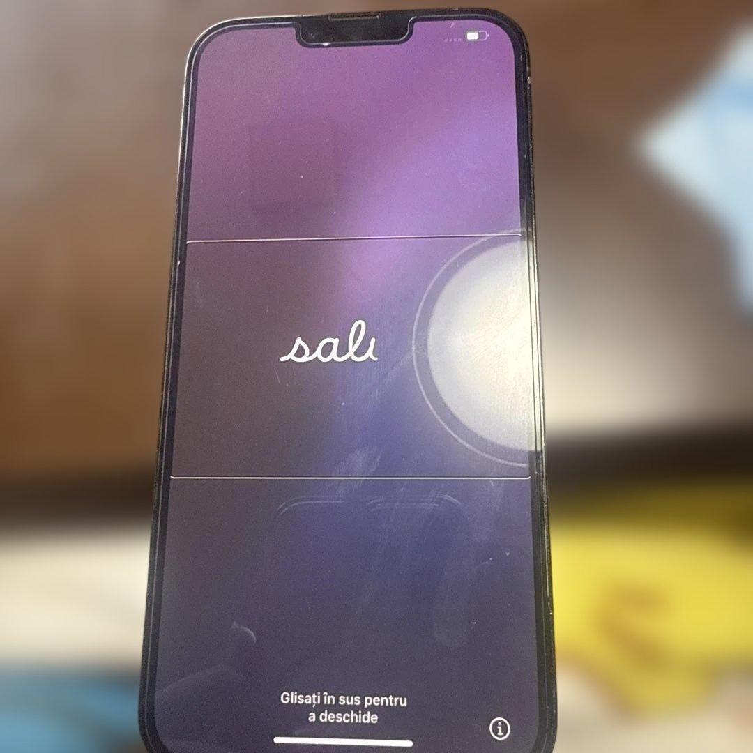 Apple iPhone 13Pro Max グラファイトSIMフリー