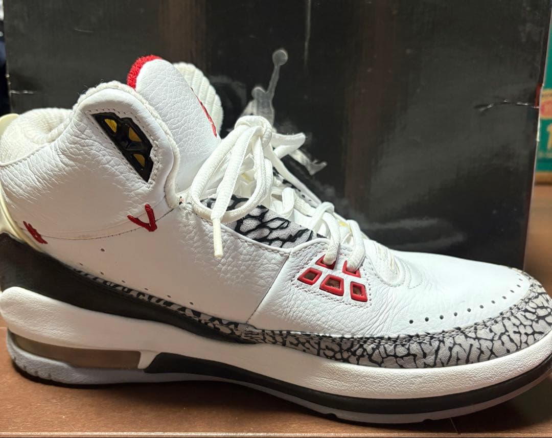 ⭐︎レアモデル⭐︎Nike Jordan2.5 /バスケットボールシューズ　28cm