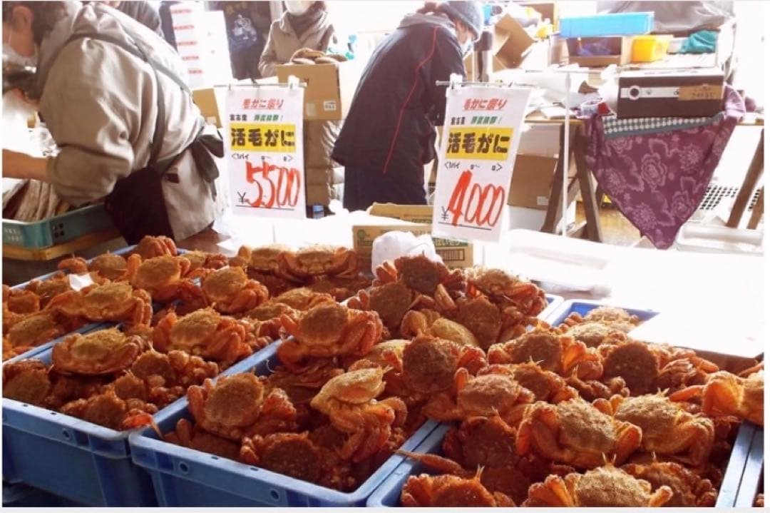 【産地直送】毛蟹 けがに　2尾 800g前後 冷凍クール便 送料込み 三陸産