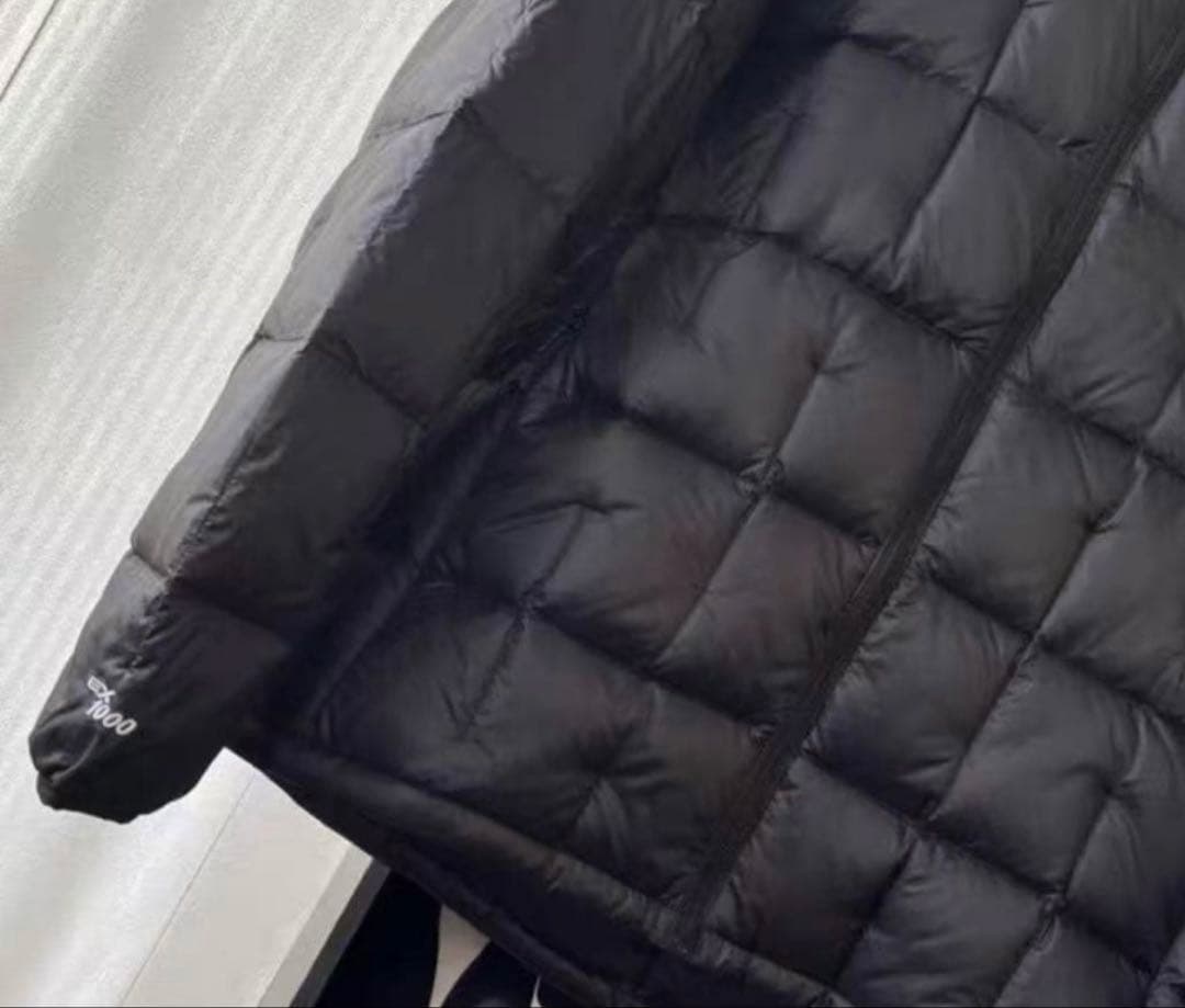 極美品モンベルプラズマ1000アルパインダウンパーカ Men'sMブラック