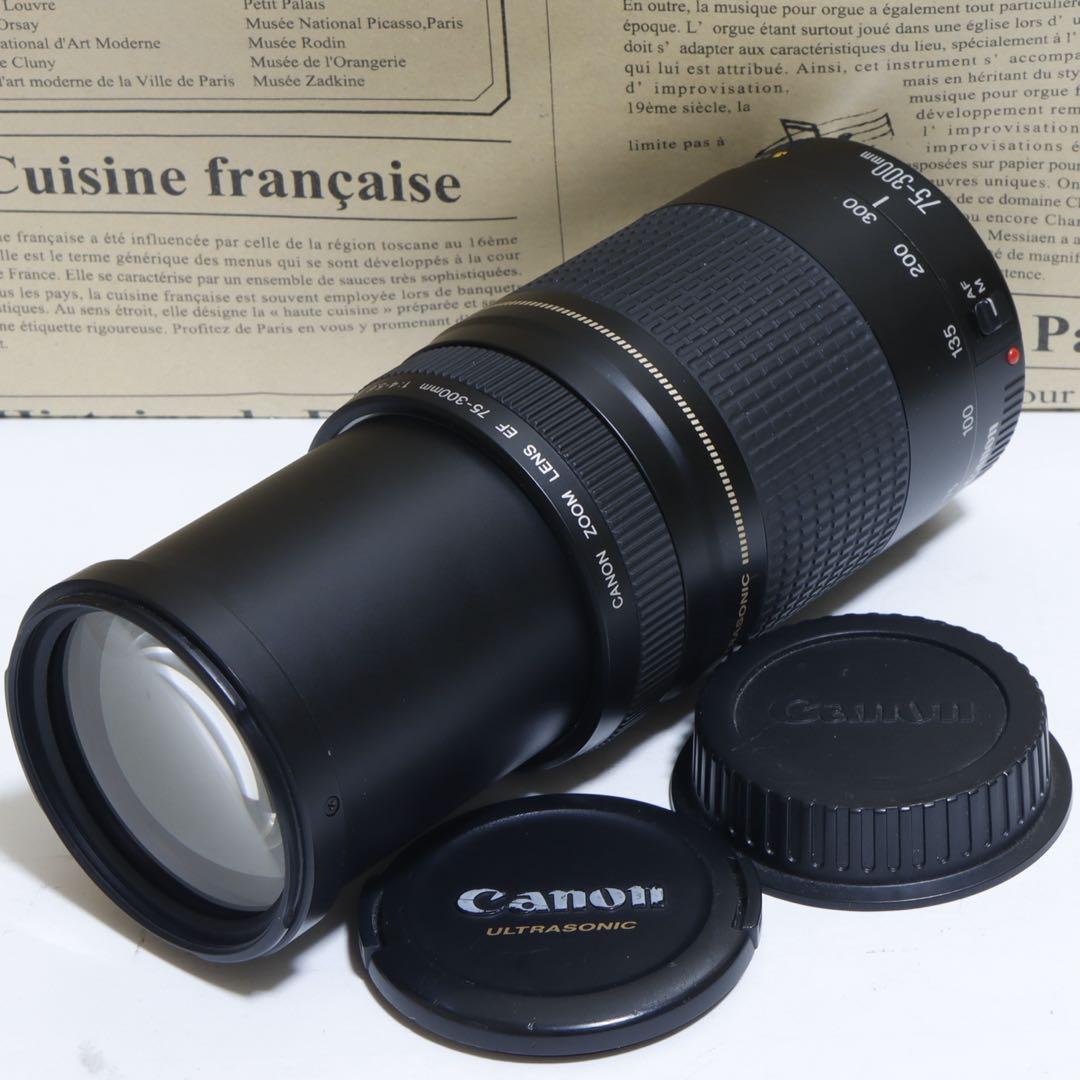 ◇ 大迫力望遠!◇Canon純正 75-300mm II型 超望遠◇