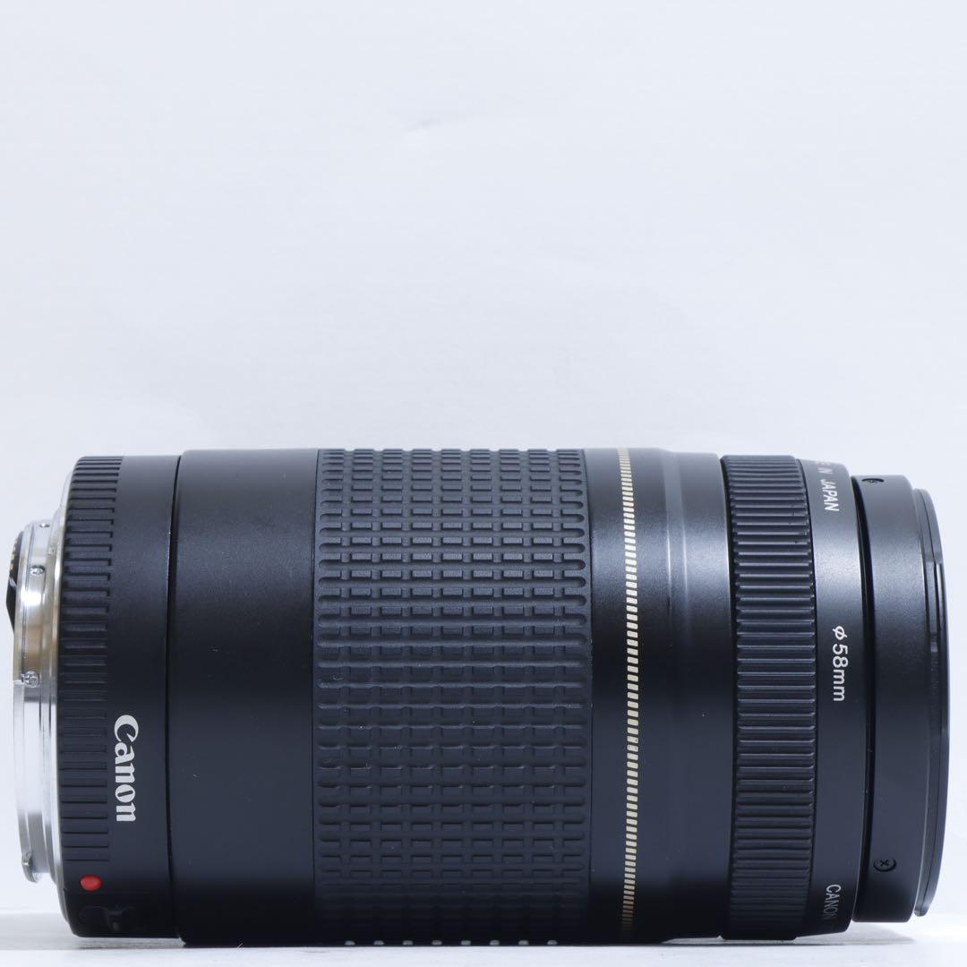 ◇ 大迫力望遠!◇Canon純正 75-300mm II型 超望遠◇