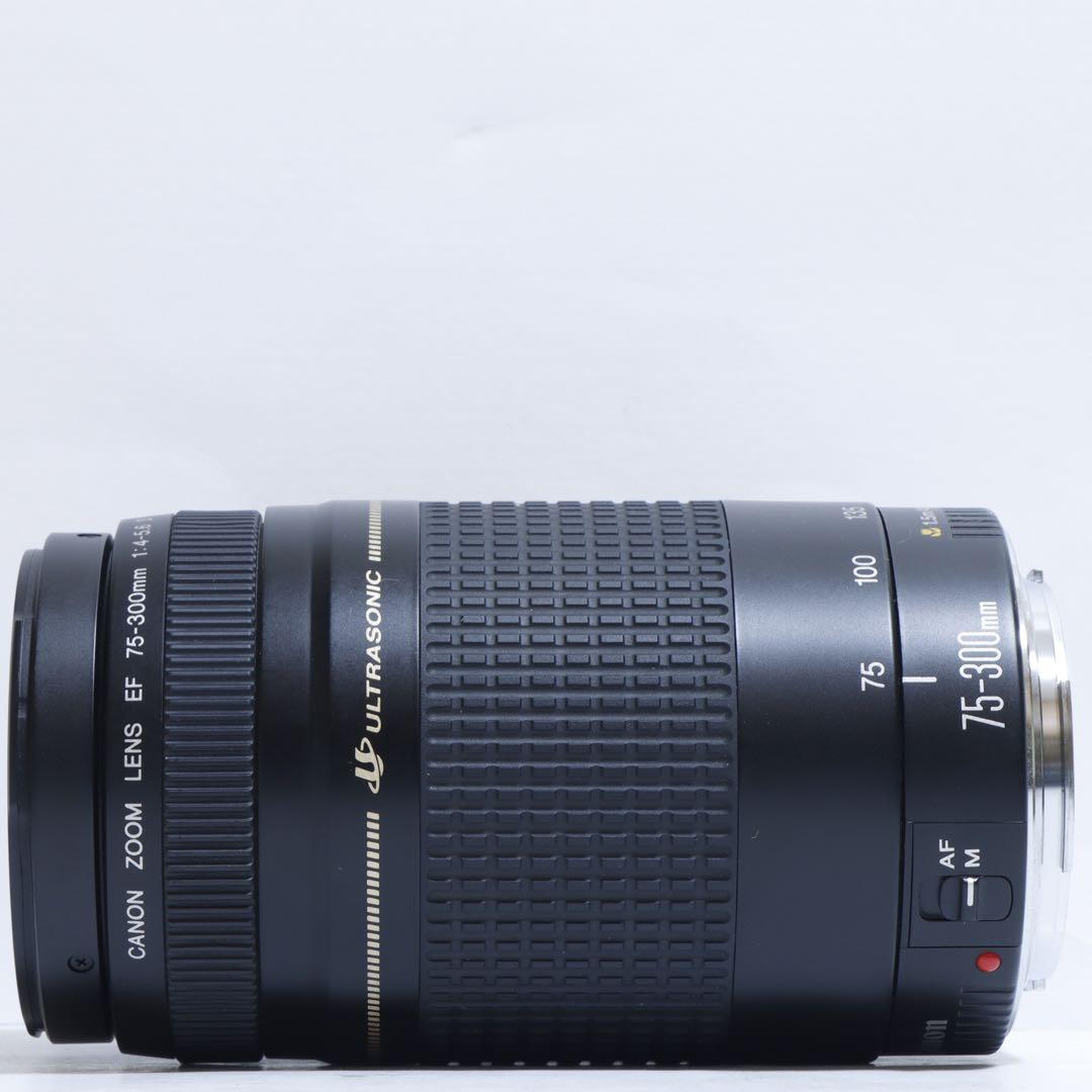 ◇ 大迫力望遠!◇Canon純正 75-300mm II型 超望遠◇