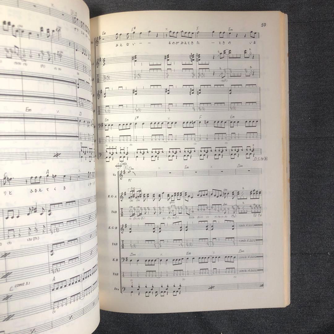 遠藤ミチロウ ベトナム伝説 Vietnam-Legend バンドスコア 楽譜