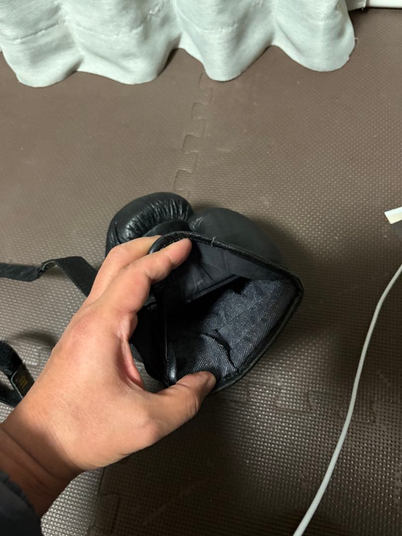 日本拳法　徳大式グローブ