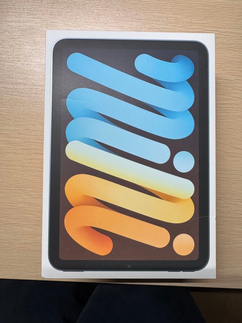 【Wi-Fi + Cellular】iPadmini A17Pro ブルー