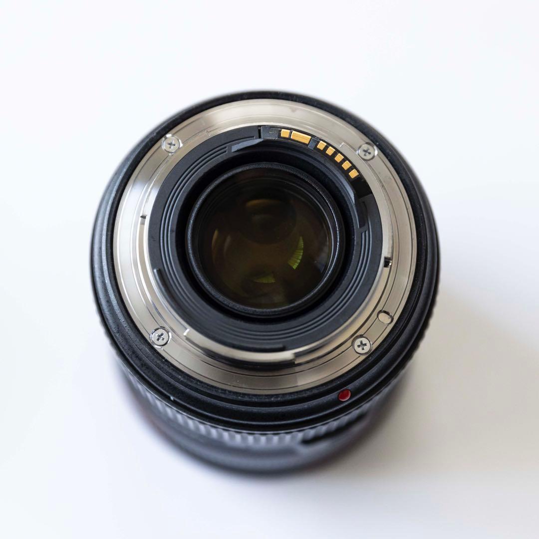 Canon (キヤノン) EF24-70mm F2.8L II USM