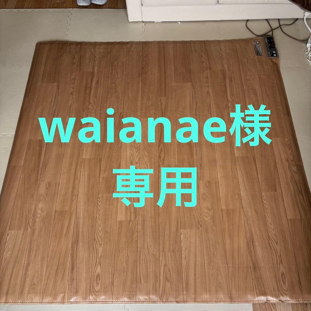 Panasonic DC-Z4 ホットカーペット 700W