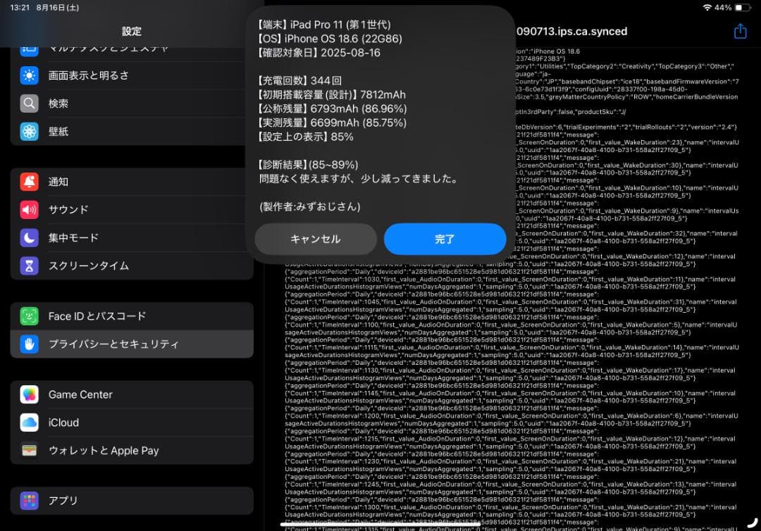 iPad pro 11インチ 第1世代 256gb + オマケ