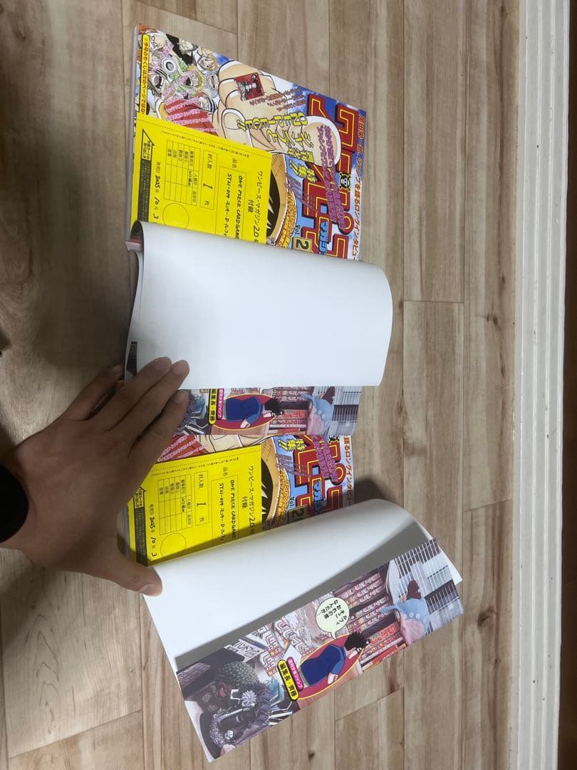 One piece magazine 20 2カード付き ポケモンボックス