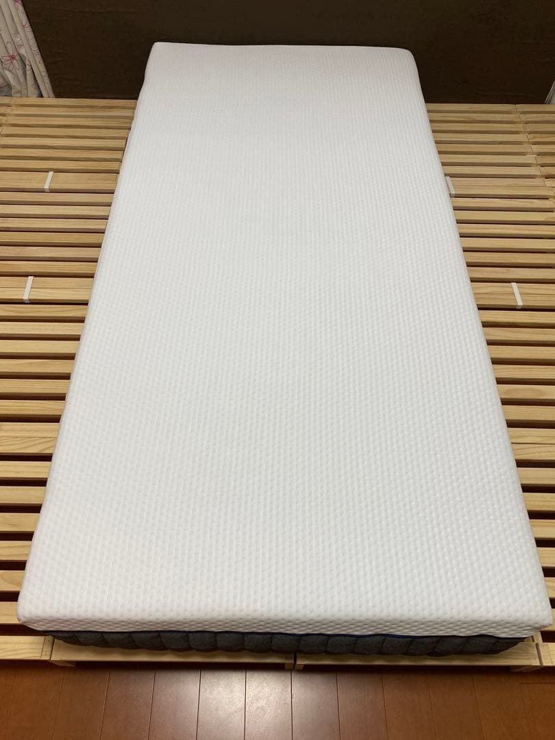 エマ・ハイブリッド V2 プラス （シングル）