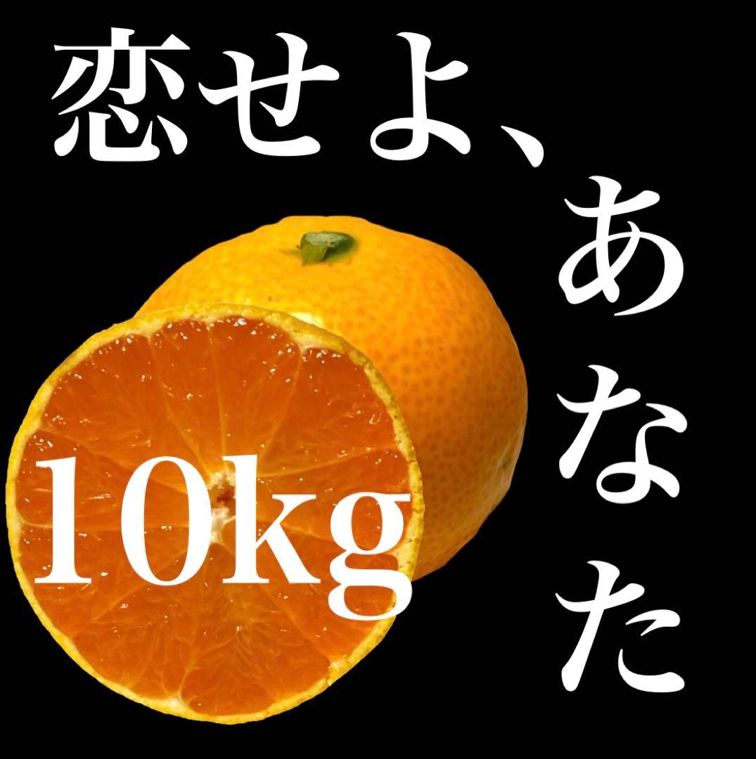 ⭐︎10kg