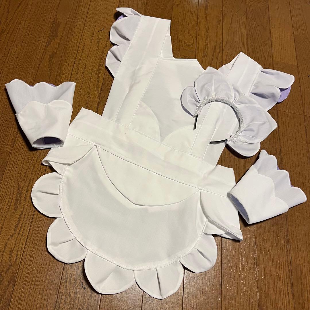 ポケモンZAハルジオ衣装フルセット