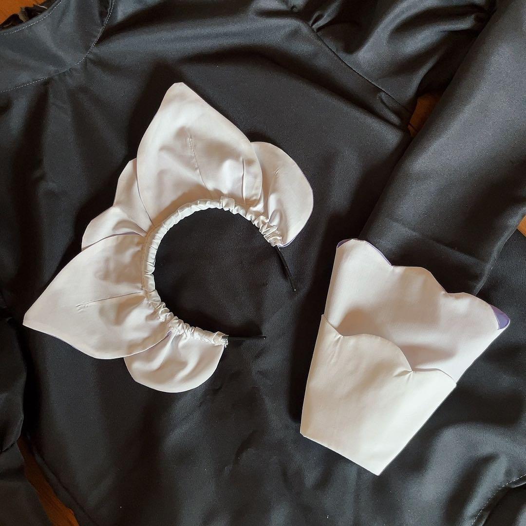 ポケモンZAハルジオ衣装フルセット