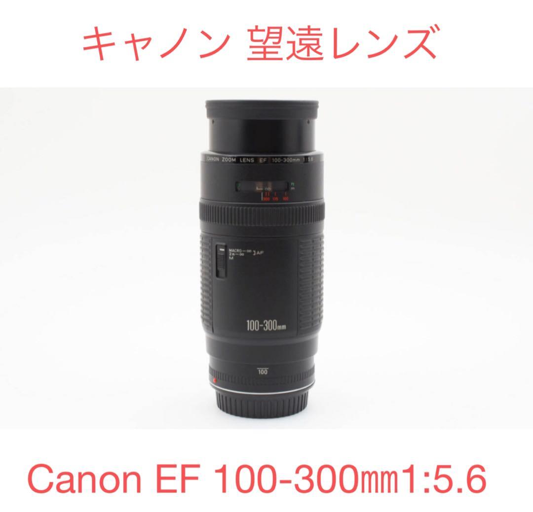 望遠ズームレンズ CANON EF 100-300mm F5.6