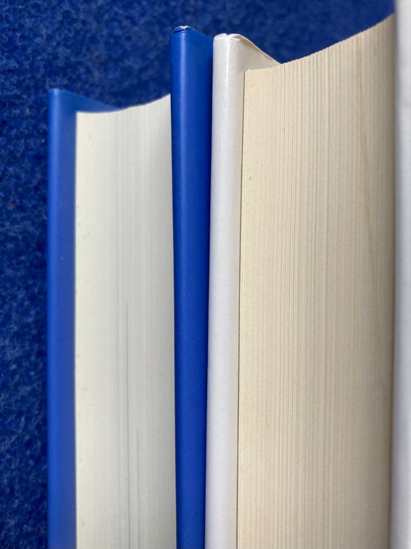 ヨーガ禅　道友　2冊セット