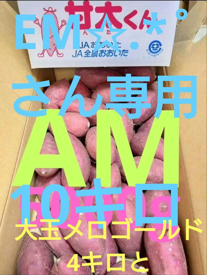 EM✩.*˚さん専用