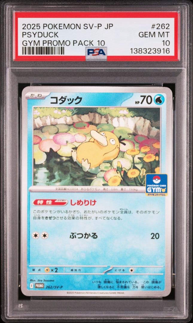 PSA10 連番 コダック ジムプロモ ②