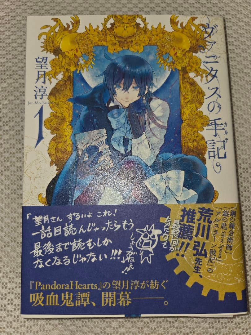 望月淳 直筆サイン、手描きイラスト入り ヴァニタスの手記 初版本