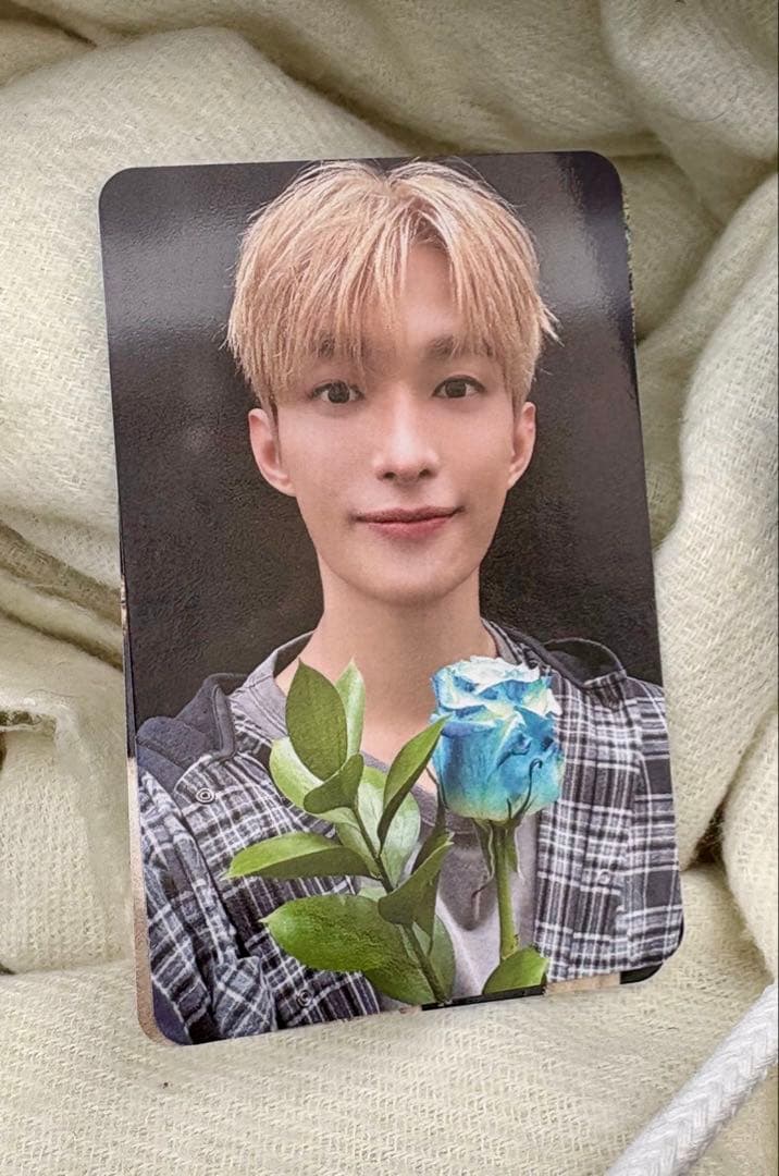 SEVENTEEN DXS ドギョム DK サノク トレカ