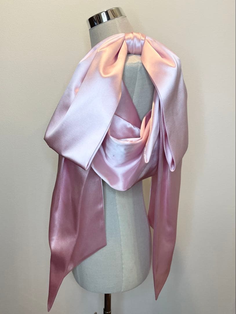 Sandy Liang Regalo Bag In Carnation バッグ