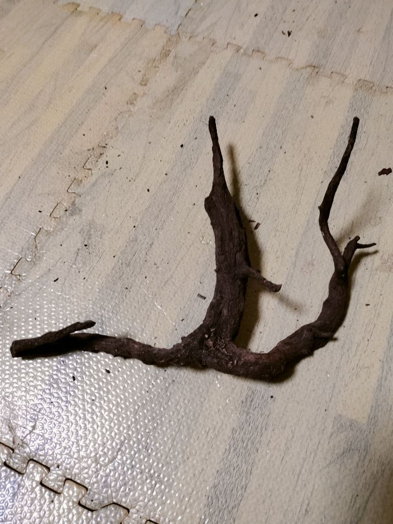 わ*ち様 水槽用流木 複数セット ホーンウッド ブランチウッド