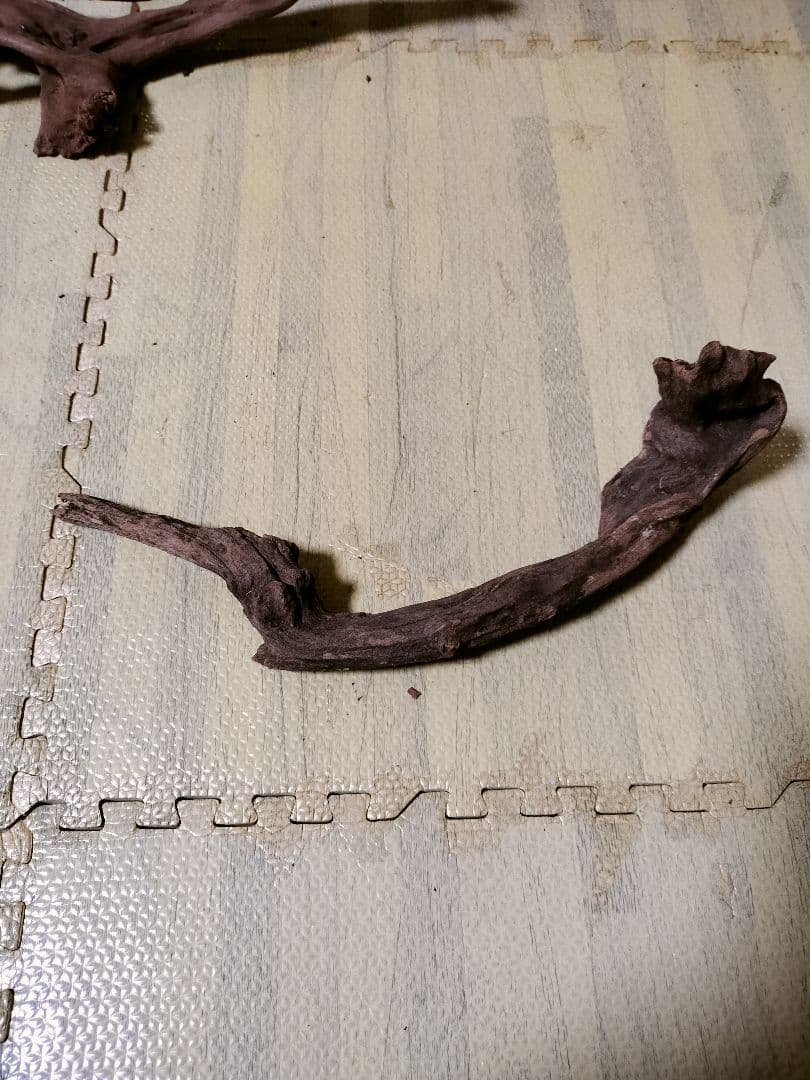 わ*ち様 水槽用流木 複数セット ホーンウッド ブランチウッド