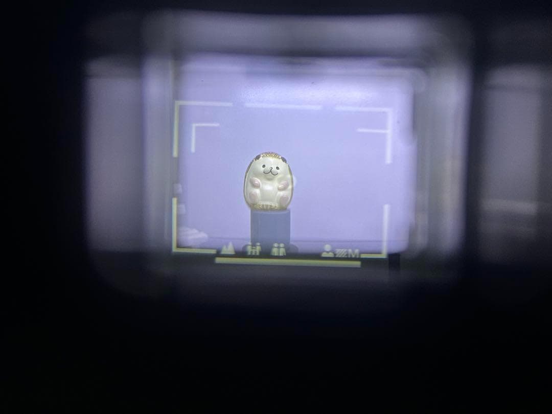 Nikon L35 AWAD Black コンパクトフィルムカメラ