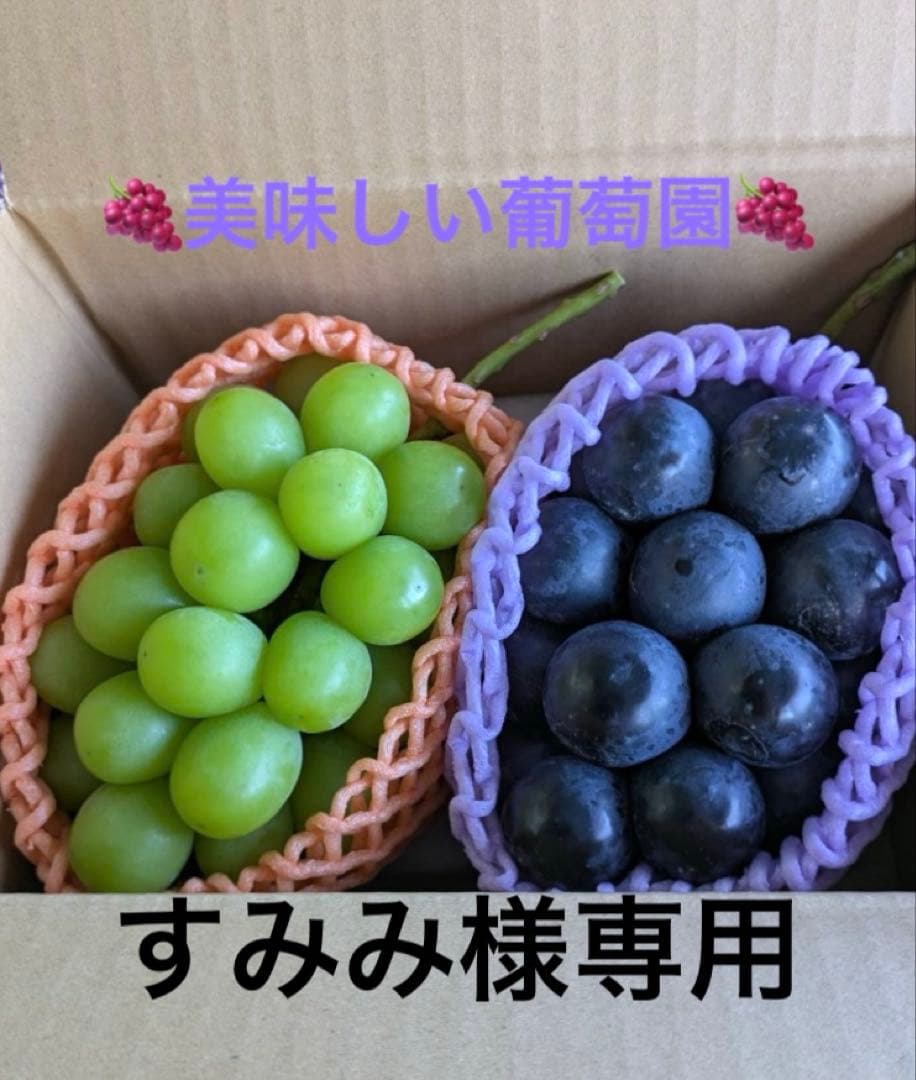 すみみナガノパープル2房、シャインマスカット2房　計4房
