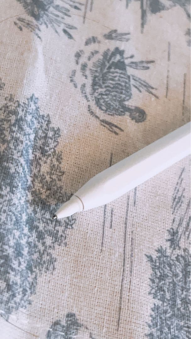 【さん 様】iPad Air 第五世代 スターライト 純正アップルペンシル付