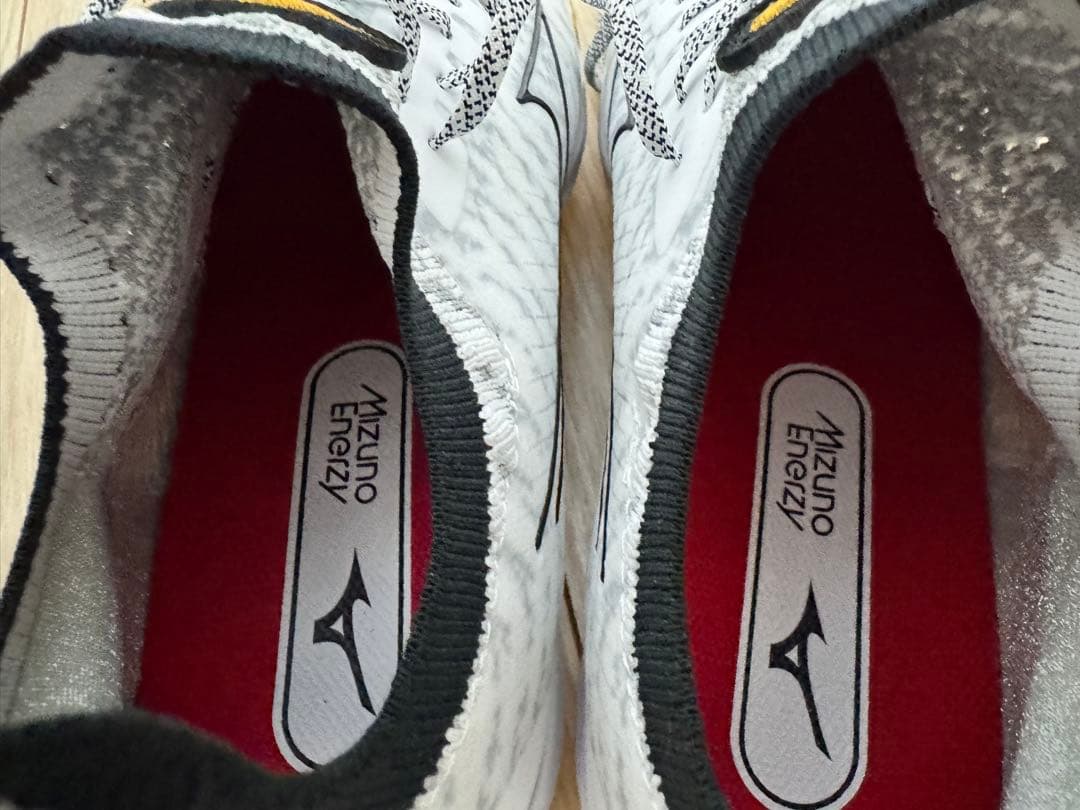 【日本未発売】 ミズノ Mizuno ミズノプロ 野球 スパイク ポイント