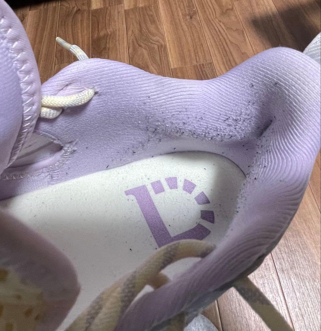 バスケットボールシューズ Dlo1 キャンプ