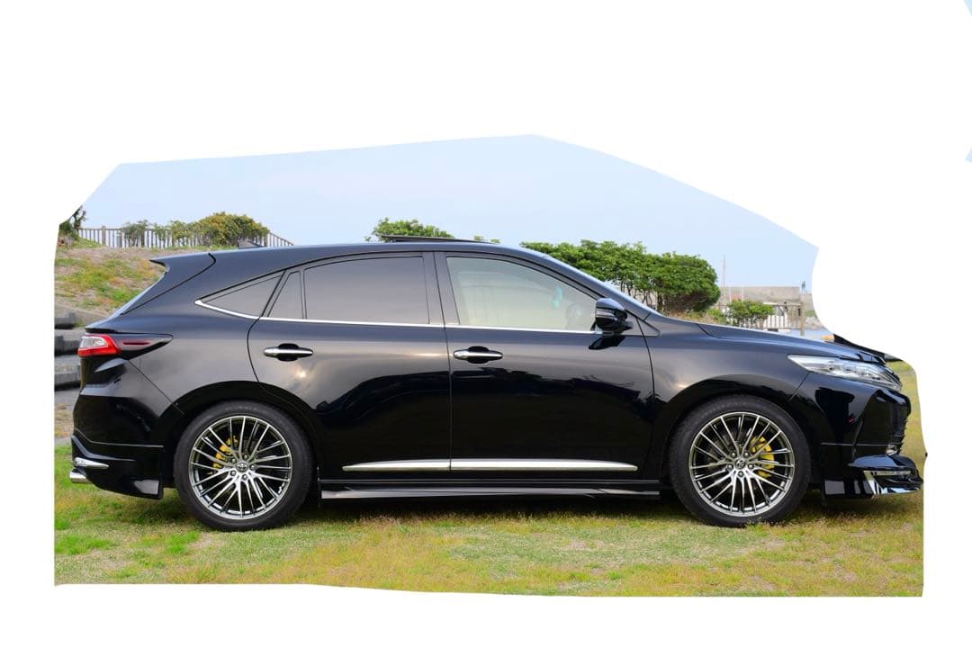 60 ハリアー タナベサステックプロCR