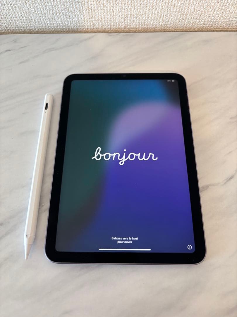 iPad mini 第６世代 本体➕pencil
